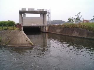 坂川放水路 らもごつ る